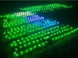 荔枝防虫新招！「绿光罩顶」解虫害比农药更经济安全