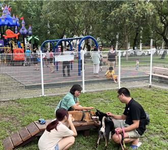 南投強化動保 放養寵物隨地便溺、食用犬貓及販售套索將開罰