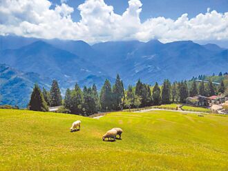高山症焦虑时用氧气机？医师教你做