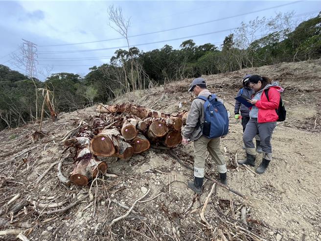 定期进行林地维护管理作业。（屏东县政府提供／罗琦文屏东传真）