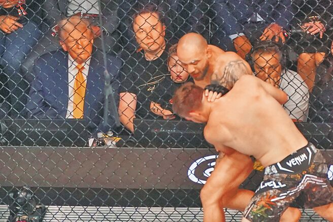 川普（后左一）、马斯克（后左二）和马斯克的儿子（后左三）观赏UFC比赛。（路透）