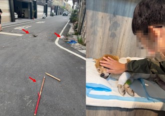 又是未牵绳！ 屏东柴犬惨遭恶犬咬死 铁条打弯了都不松口