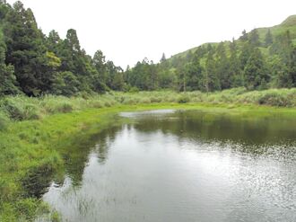 孢子低溫儲存 搶救台灣水韭