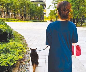 新北推代養家庭 社恐狗找到家