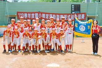 台南 國小棒聯賽 東園奪硬式組首冠