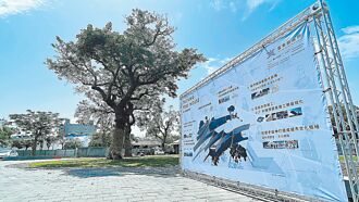 迎2026台東博覽會 樹屋展區動工