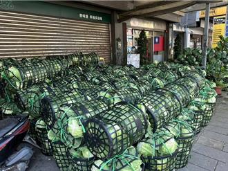 用發票換高麗菜 民眾響應做公益 助解菜農滯銷困境