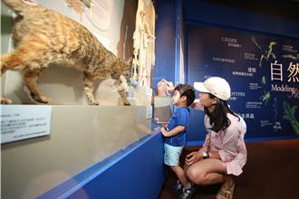 動物模型超逼真！台中科博館《自然藝想》展開箱