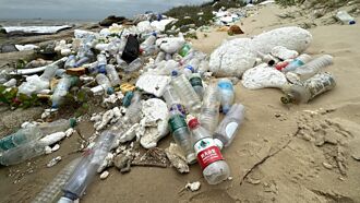 訂單暢旺 寶綠特今年營收看俏