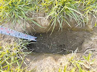 新莊寵物公園現坑洞 安全性堪慮