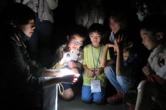 火金姑亮相滿月圓 4／16-6／15點亮夜間璀璨森林