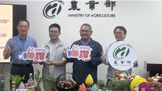 恒春洋葱农业转型！造粒播种机械化上路 老农：终于喘口气