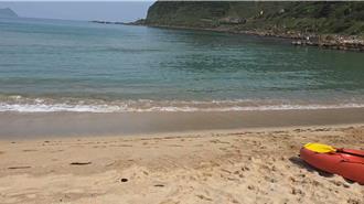 基隆大武崙驚現僧帽水母 旅客遭螫傷 店家一早撈上百隻 