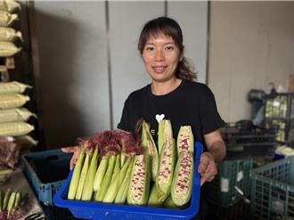 鮮甜玉米正當時 台中青農夫妻團購拓展新通路