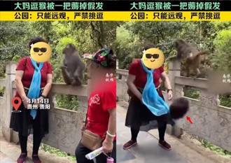 挑釁野猴遭報復　陸大媽「這東西」竟被連根拔起
