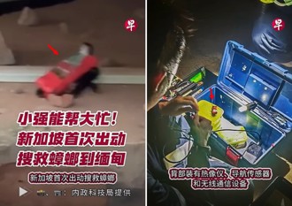 小強也可立大功！ 狹小縫隙地震搜救都靠「牠」