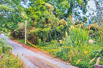 詐團內訌活埋同夥 3人判無期