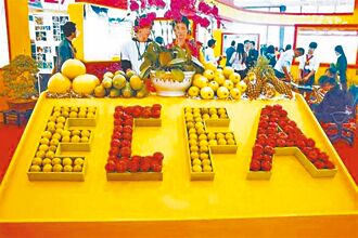 只怕美國課關稅 不怕ECFA終止？