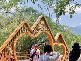 海南祕境森呼吸 訪珍稀長臂猿