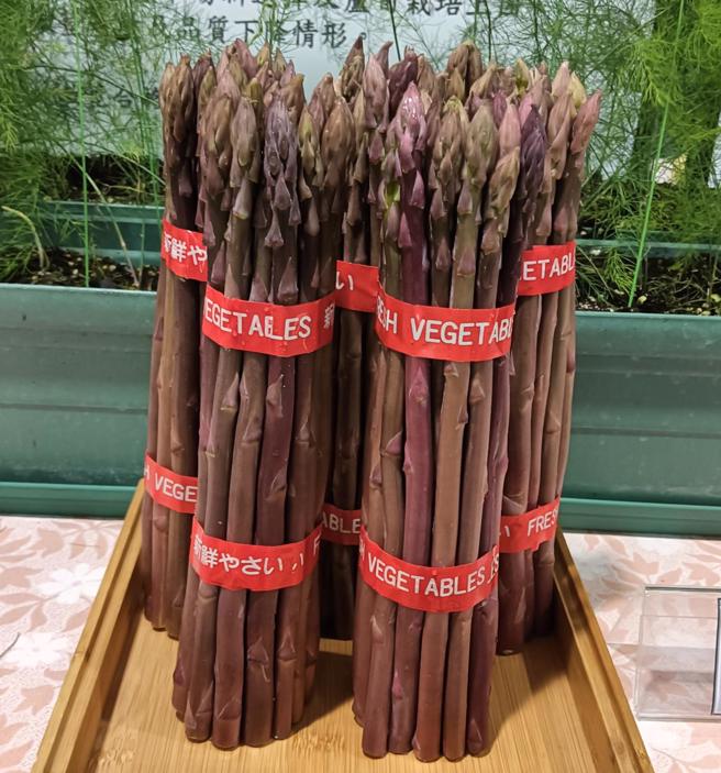 为拓展芦笋多元市场与品种选择，农业部台南区农业改良场歷经多年选拔与试验，成功育成国内首支耐热性佳的紫芦笋品种「台南5号」。（图／农业部）