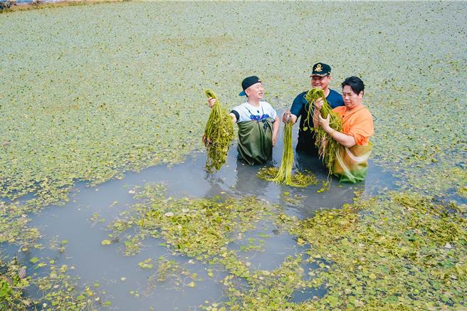 邰智源（左）、邵大伦（右）体验採收水莲。（公视台语台提供）.