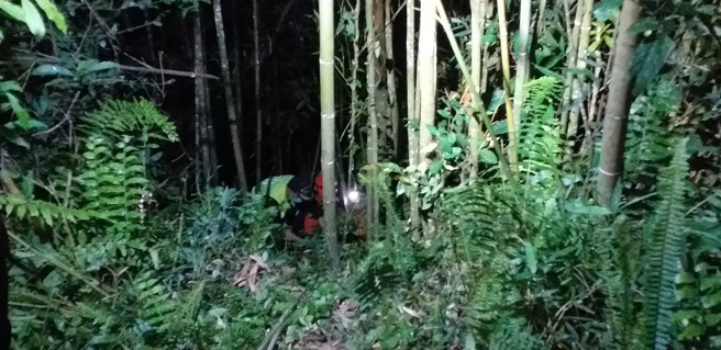 三峡诗朗山区发生老翁跌落边坡，消防队到达时老翁已无呼吸脉搏，紧急拉上岸后，因已明显死亡，交由警方处理。（翻摄画面）