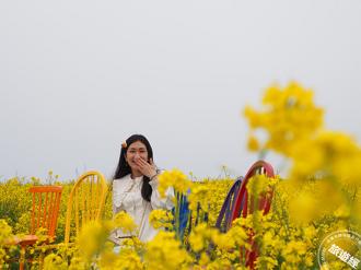 濟州旅遊全攻略！探索韓國夏威夷 品美食、賞四季美景