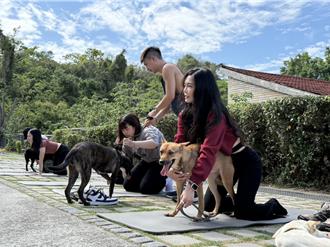 高雄首創「犬貓治癒日」 狗狗健身趴結合公益與運動療癒