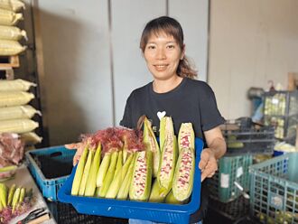 台中 青農夫妻 團購打通銷售網