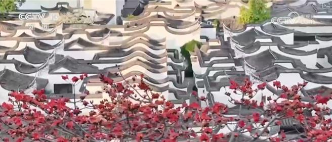 三坊七巷沈葆楨故居開放陸數位賦能解鎖千年坊巷。（大陸央視） 