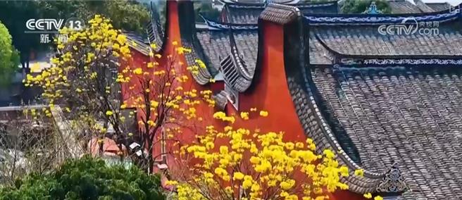 三坊七巷沈葆楨故居開放陸數位賦能解鎖千年坊巷。（大陸央視） 