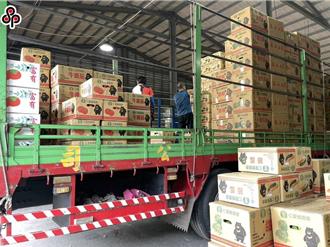 勞動部擬鬆綁僑外生當司機   貨運駕駛不必認證中文能力