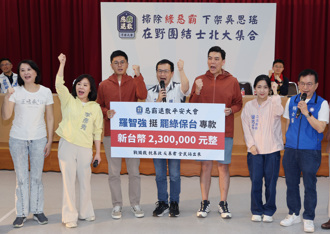 罷雙吳6人保金羅智強全出   今捐出當罷綠保台專款