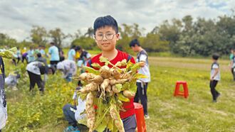 從土地到餐桌 小朋友拔蘿蔔樂
