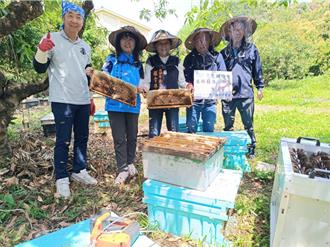 頭份蜂農南征採蜜 今年果花盛開預估豐收