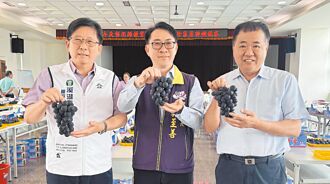 溫室葡萄評鑑 溪湖包辦前3名