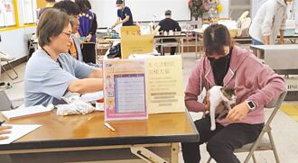 彰化 犬隻發情易衝動 免費絕育報名