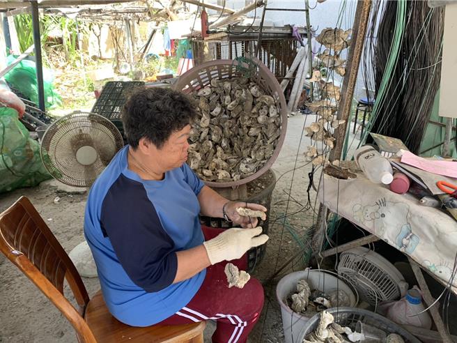 曾姓老妇受雇穿蚵壳，赚取微薄的工钱。（郭良杰摄）