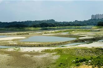 仁義潭露出乾地、浮島仍無法清淤 原因曝光