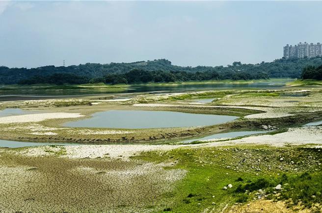 仁义潭水库蓄水率剩34.3％，因水位还不算低，加上底土不够乾，至今无法进场清淤。(吕妍庭摄)
