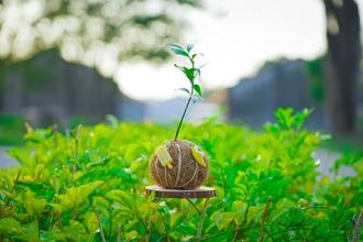 永續農遊盛會限時登場 4／30前超值優惠滿千送百 鼓勵以旅行實踐愛地球