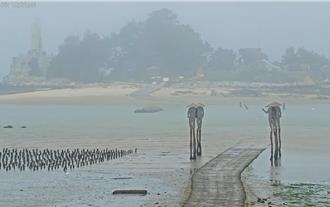 金门浓雾又来搅局 海空交通数度停摆