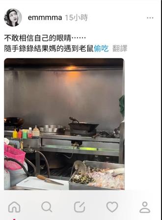 高雄光華夜市驚見老鼠鑽食材櫃　衛生局：最高罰300萬元