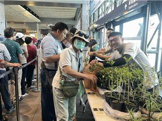 世界地球日高鐵台中站贈1200株樹苗 1小時搶空