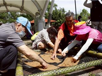 八德區公所攜手民眾 打造西坡埤塘公園生態浮島