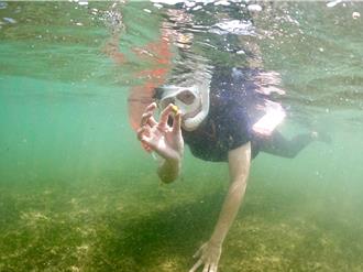 影》海草復育啟動 台灣本島再添第二大泰來草棲地