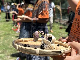 太空红藜种回原乡 让太空教育在土坂实小萌芽