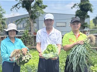 台中山陽社區開心農場蔬果滿園！居民共耕共享