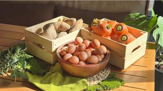 飯店業者秉持對環境的責任 推動環境永續