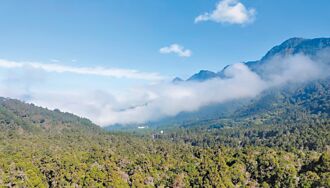 AI上山！英業達守護雲霧林生態